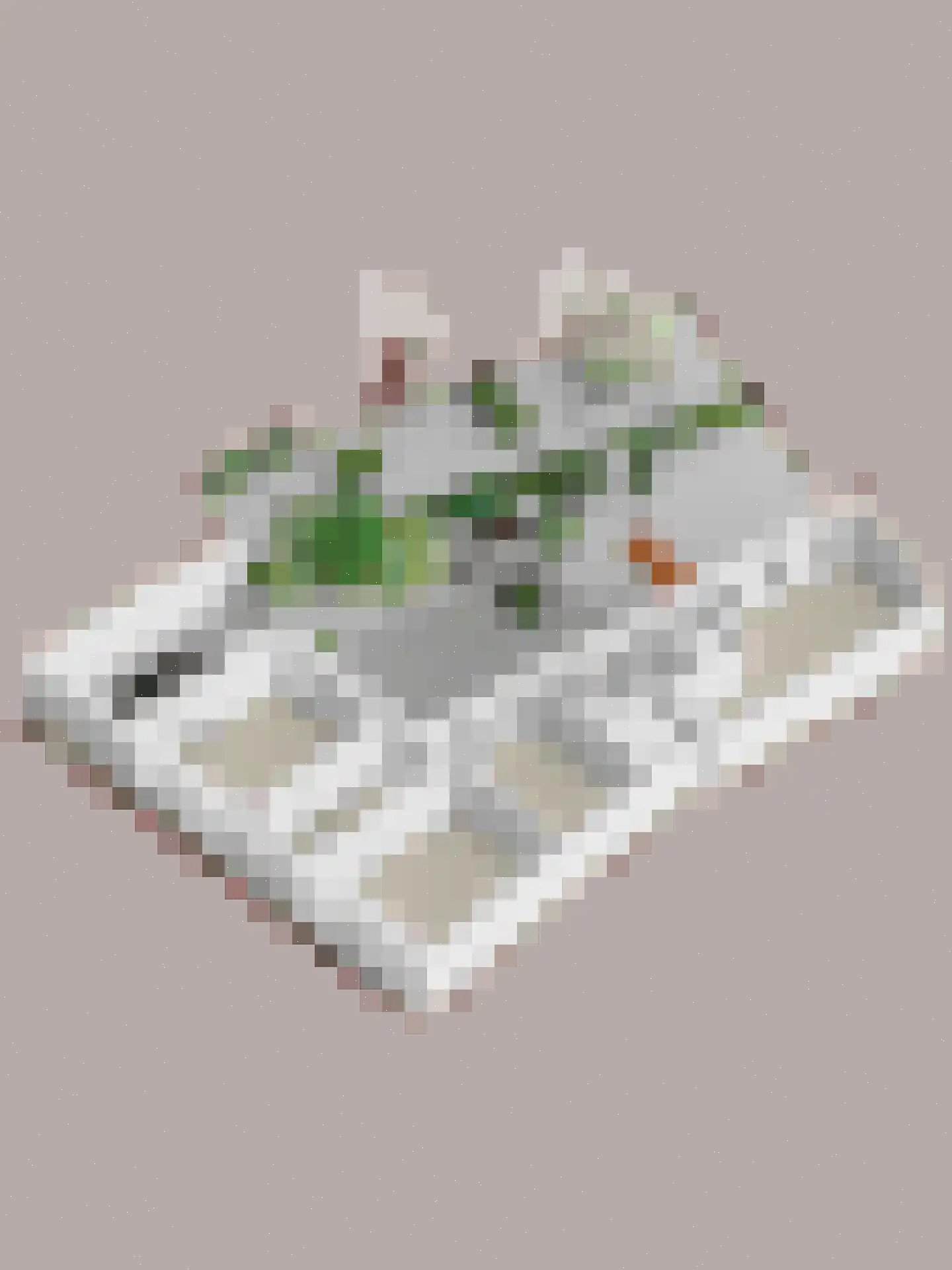 Rijksweg 89 B Gronsveld thumbnail 79