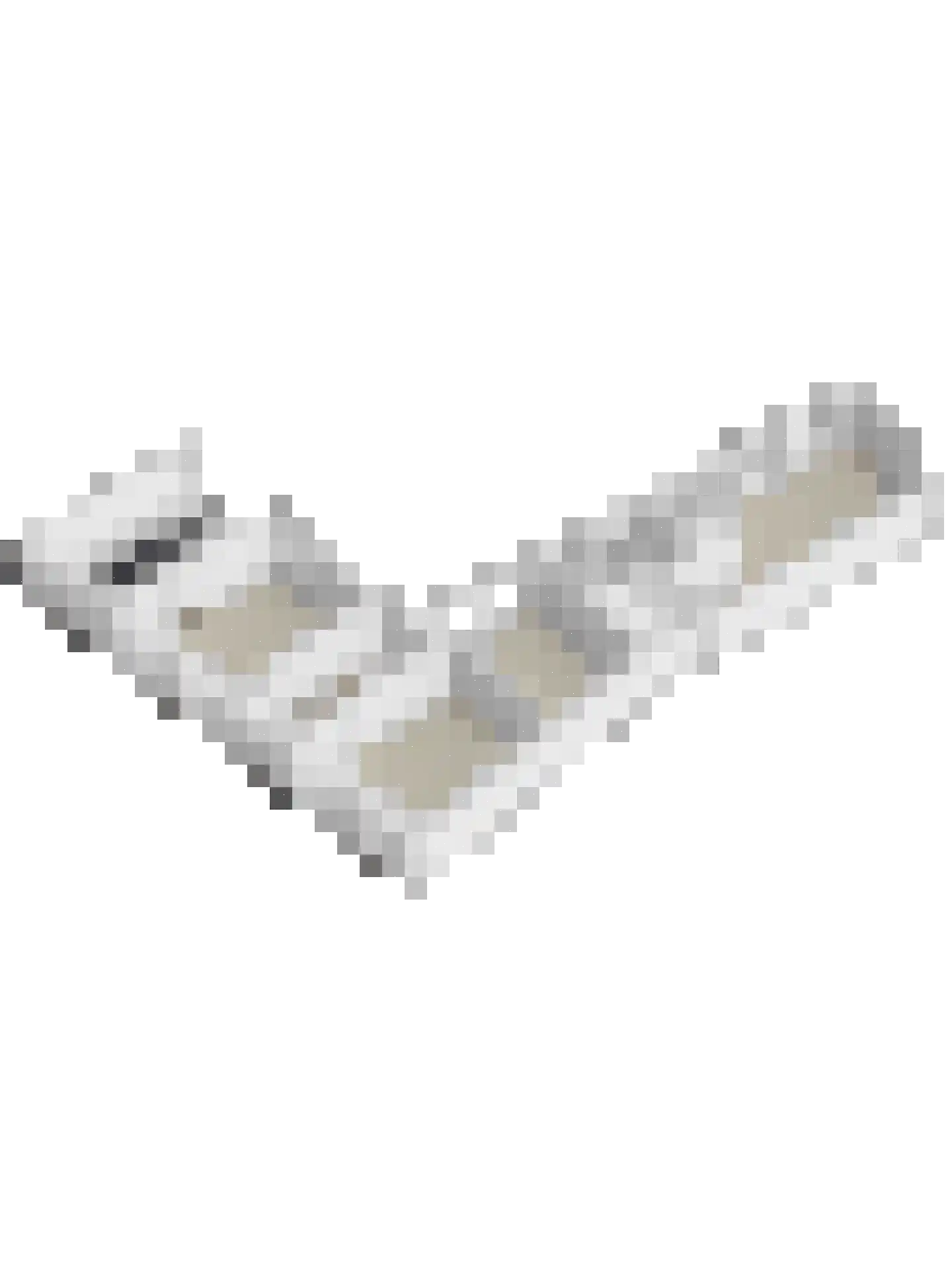 Rijksweg 89 B Gronsveld thumbnail 80