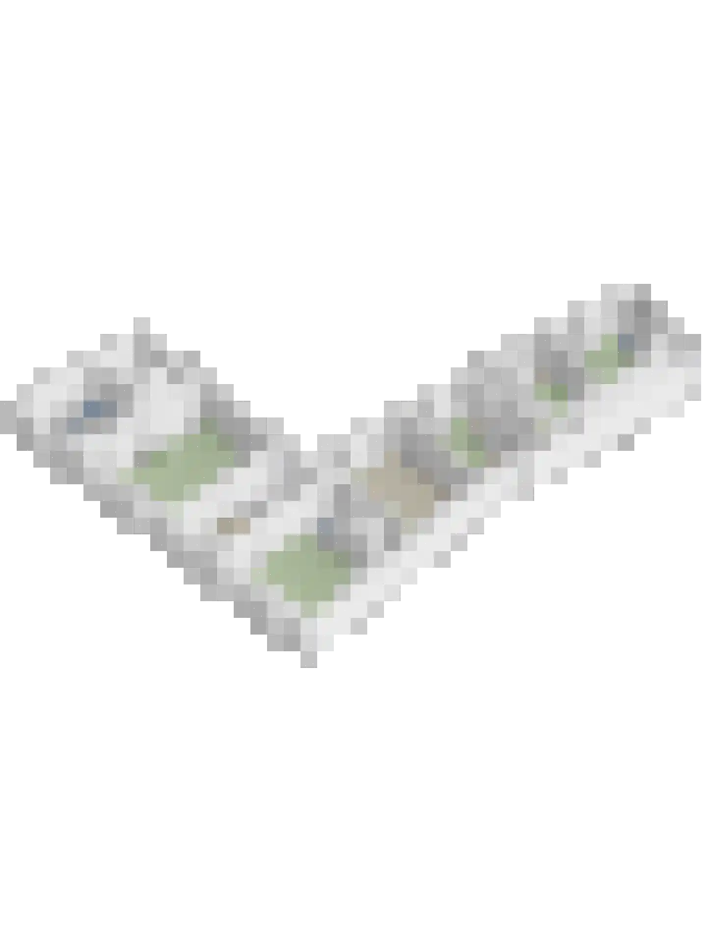 Rijksweg 89 B Gronsveld thumbnail 81