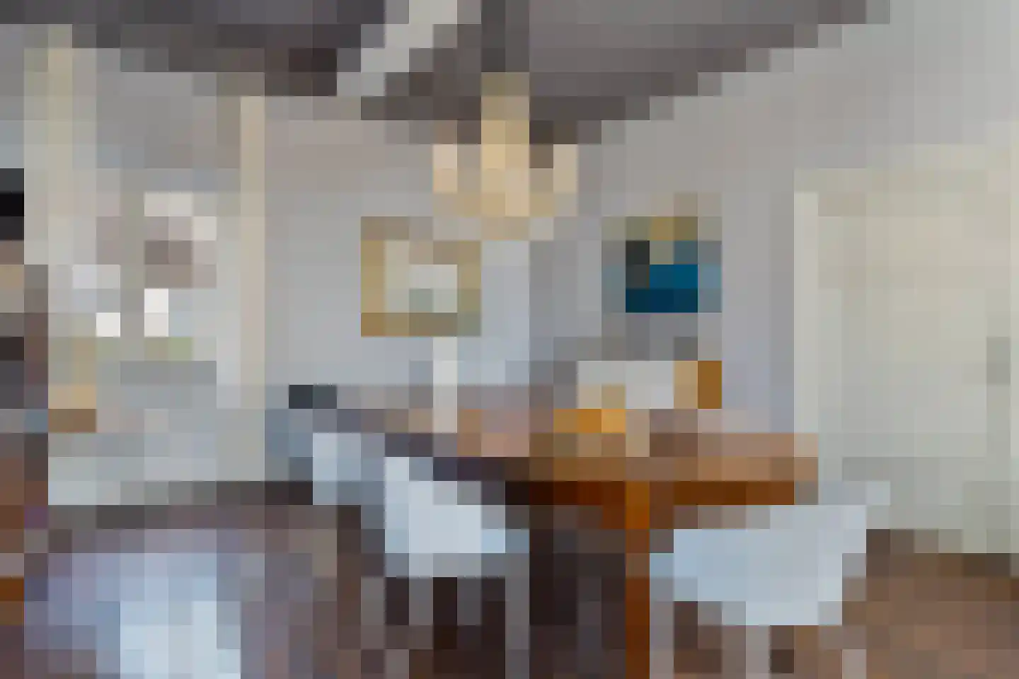Rijksweg 89 Gronsveld thumbnail 13