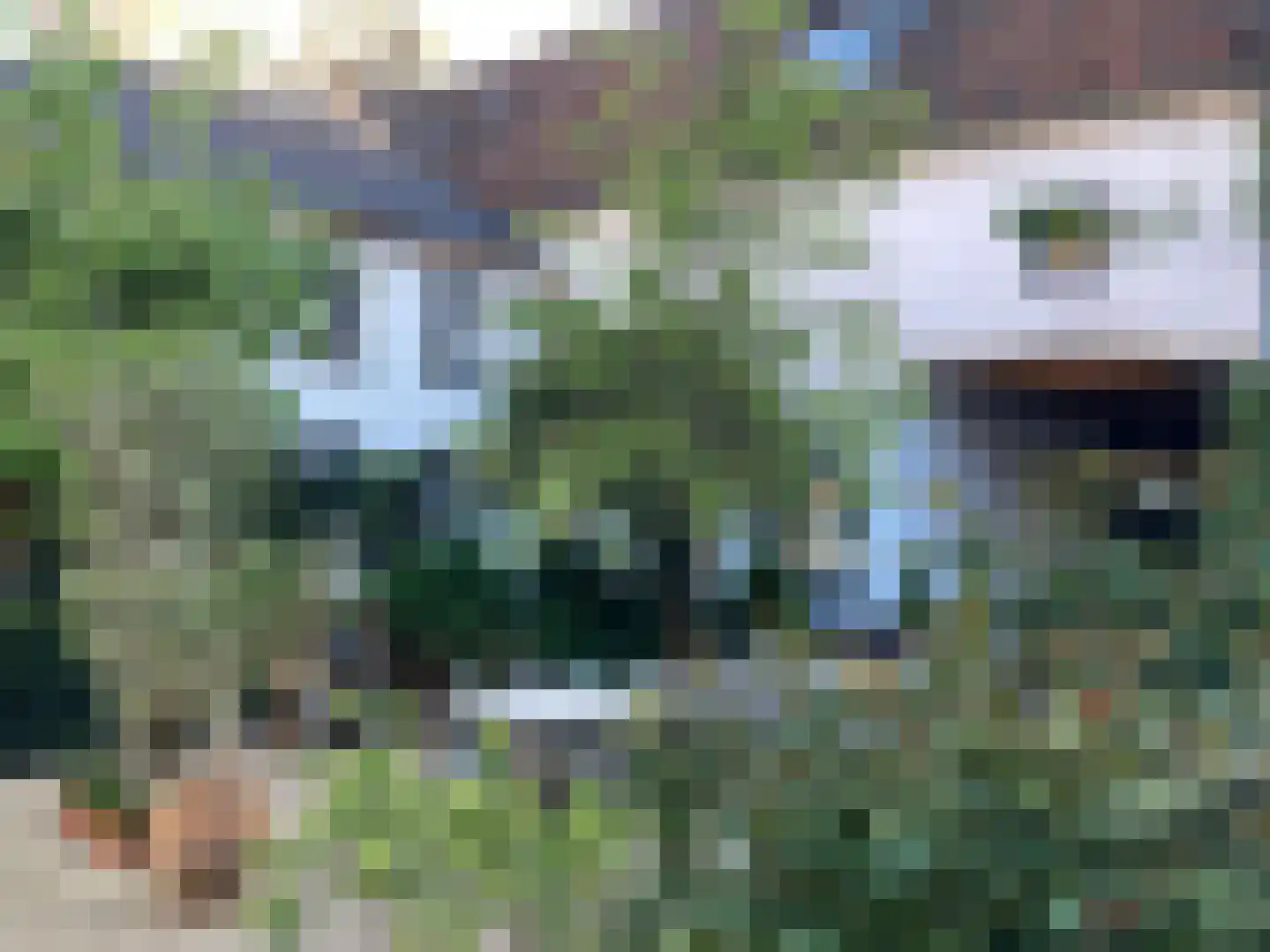 Rijksweg 89 Gronsveld thumbnail 45