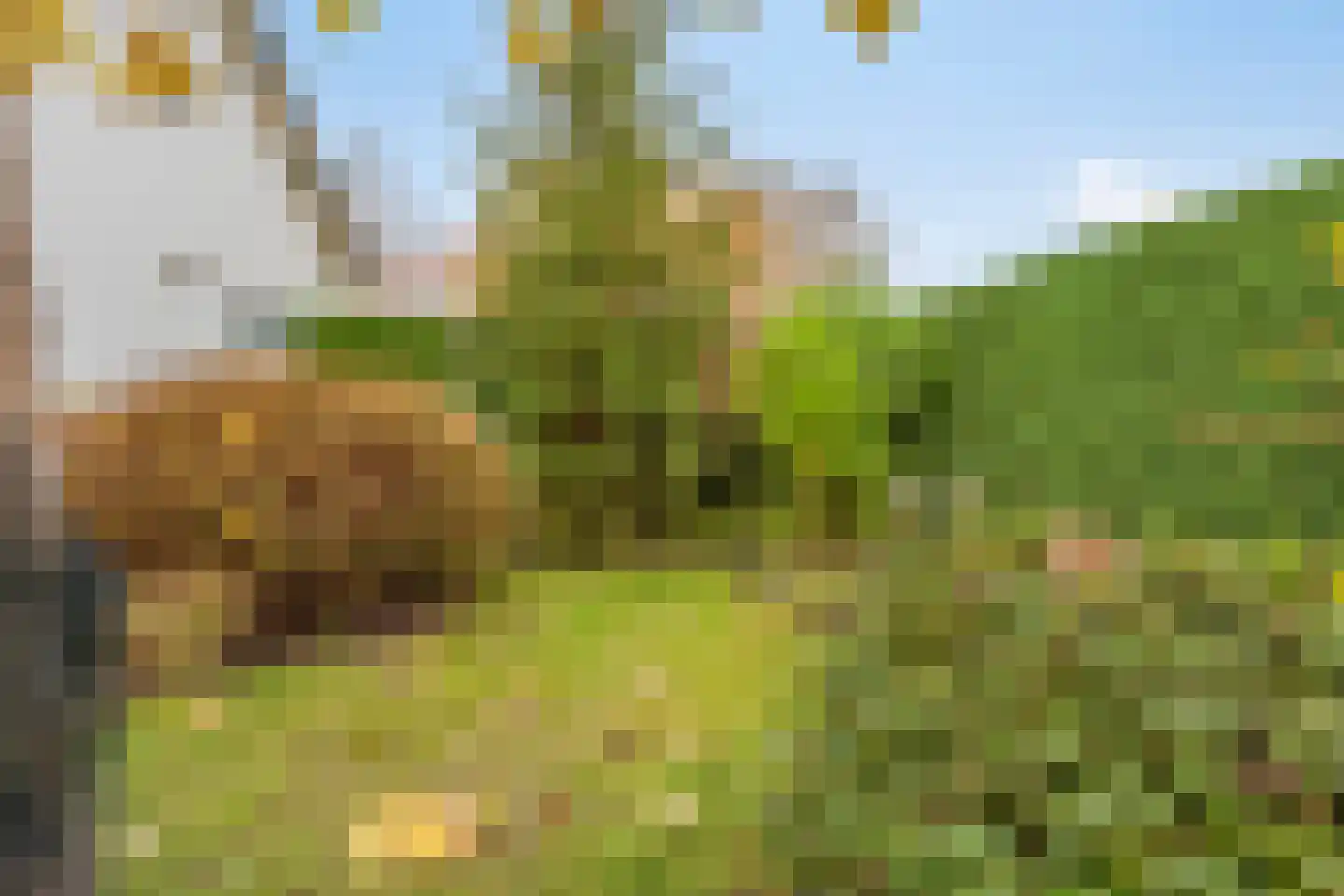 Rijksweg 89 Kruiningen thumbnail 46