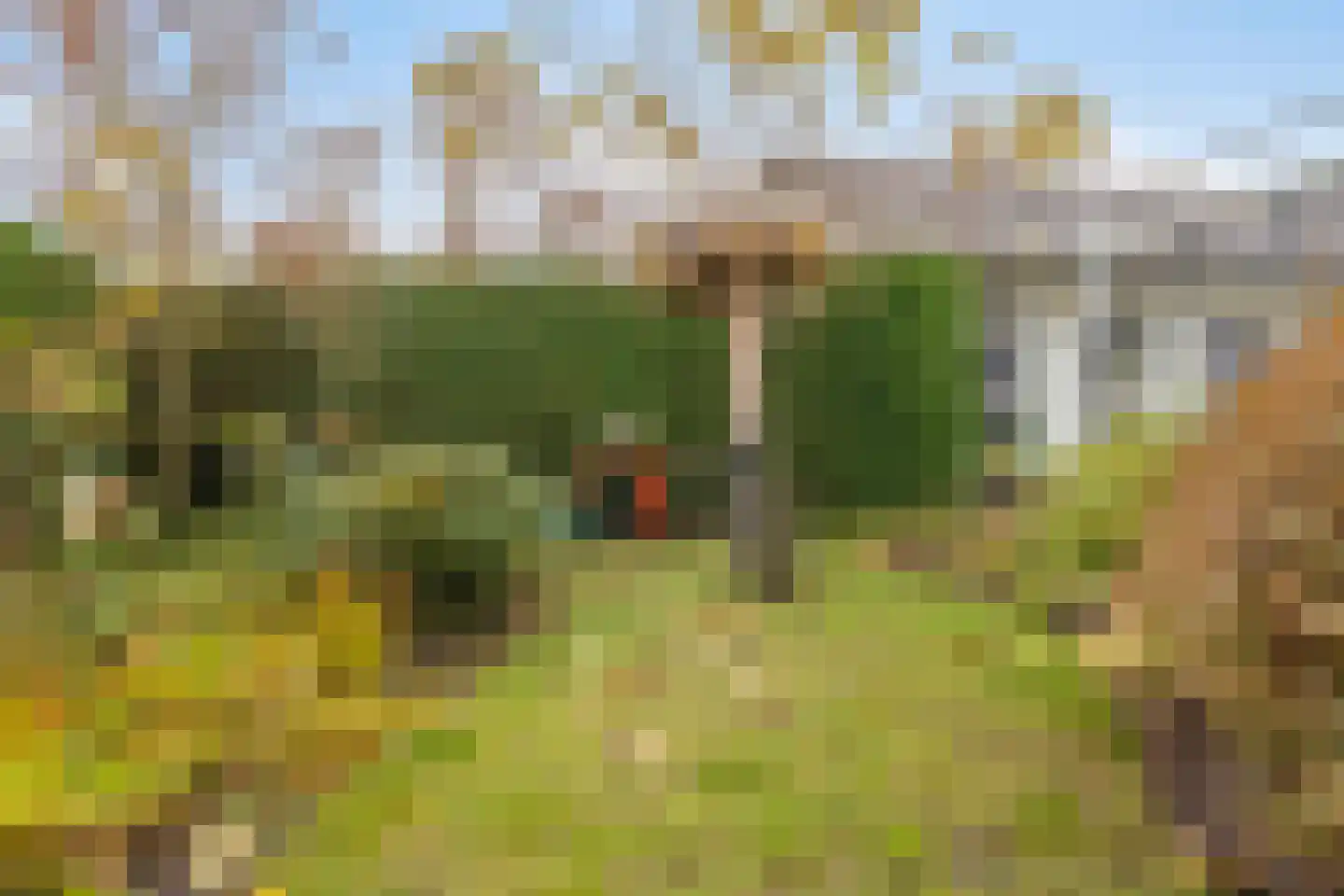 Rijksweg 89 Kruiningen thumbnail 47
