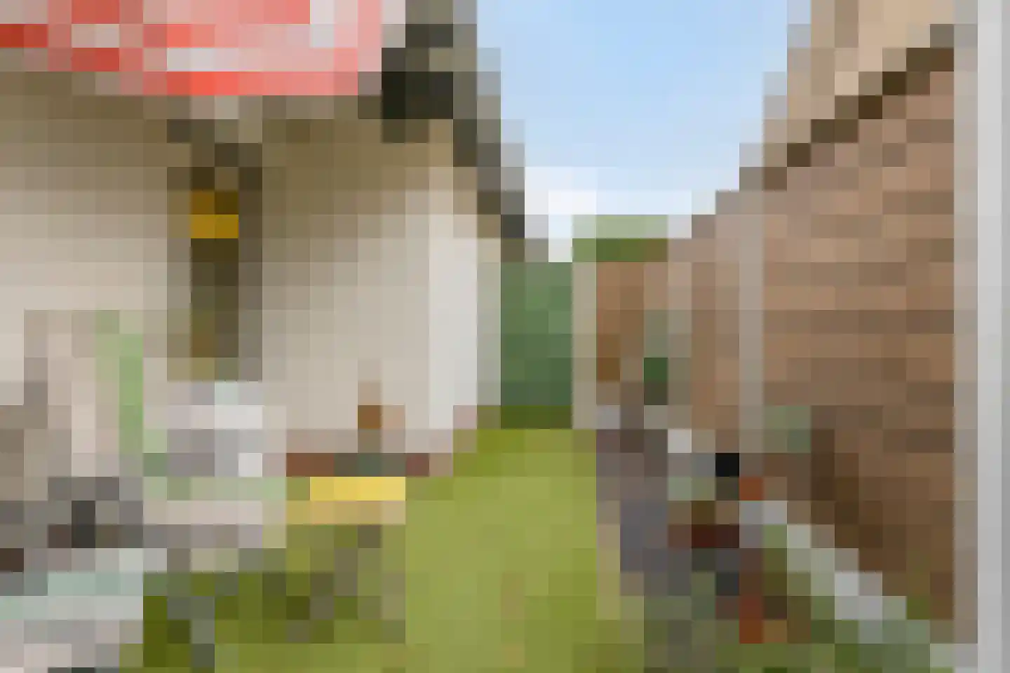 Rijksweg 89 Kruiningen thumbnail 50