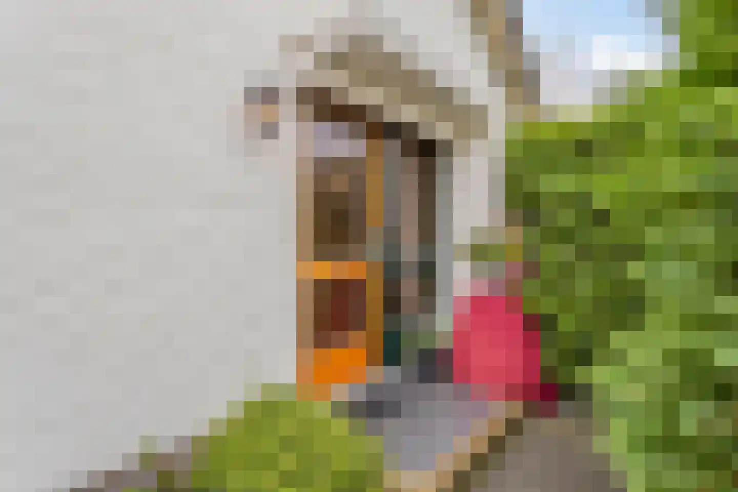 Rijksweg 89 Kruiningen thumbnail 9