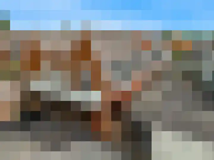 Rijksweg 9 a Limmen foto 3