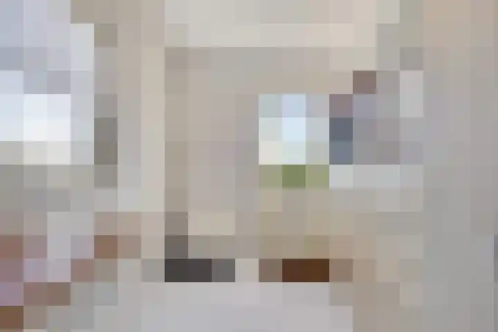 Rijksweg 9 Nieuw-Vossemeer thumbnail 14