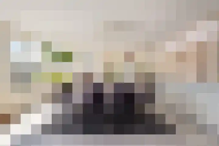Rijksweg 9 Nieuw-Vossemeer thumbnail 17
