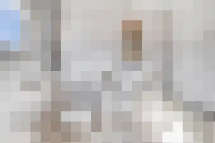 Rijksweg 9 Nieuw-Vossemeer thumbnail 19