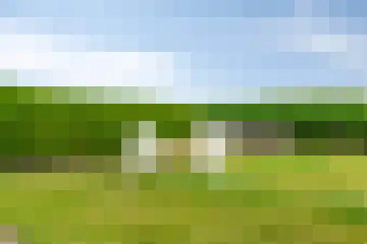 Rijksweg 9 Nieuw-Vossemeer thumbnail 39