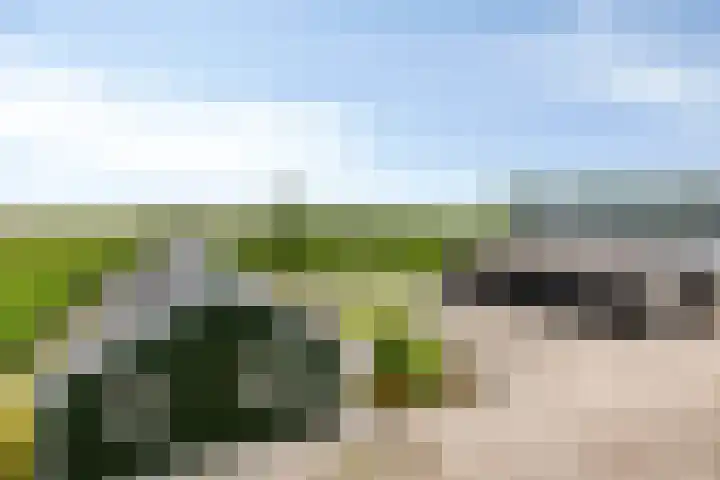 Rijksweg 9 Nieuw-Vossemeer thumbnail 4