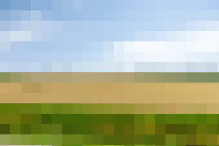 Rijksweg 9 Nieuw-Vossemeer thumbnail 40