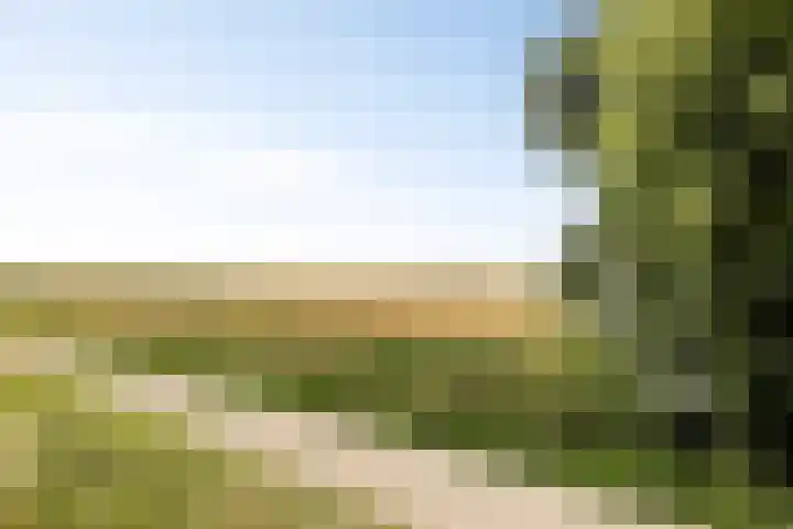 Rijksweg 9 Nieuw-Vossemeer thumbnail 41