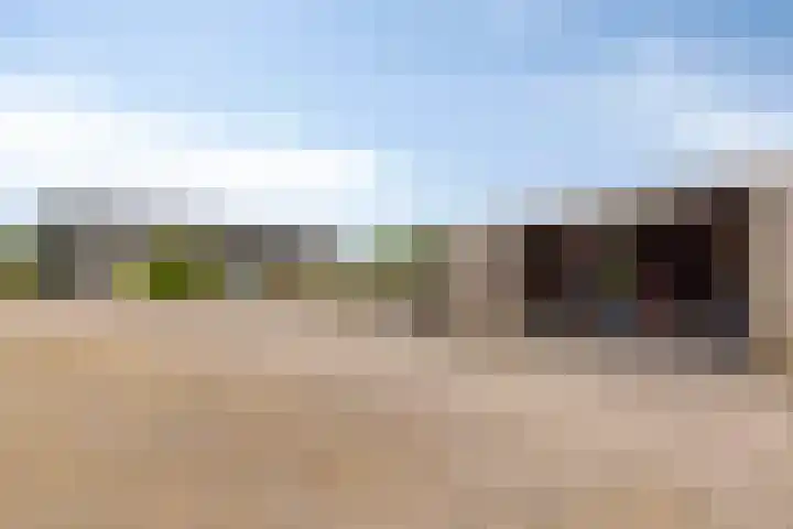 Rijksweg 9 Nieuw-Vossemeer thumbnail 45
