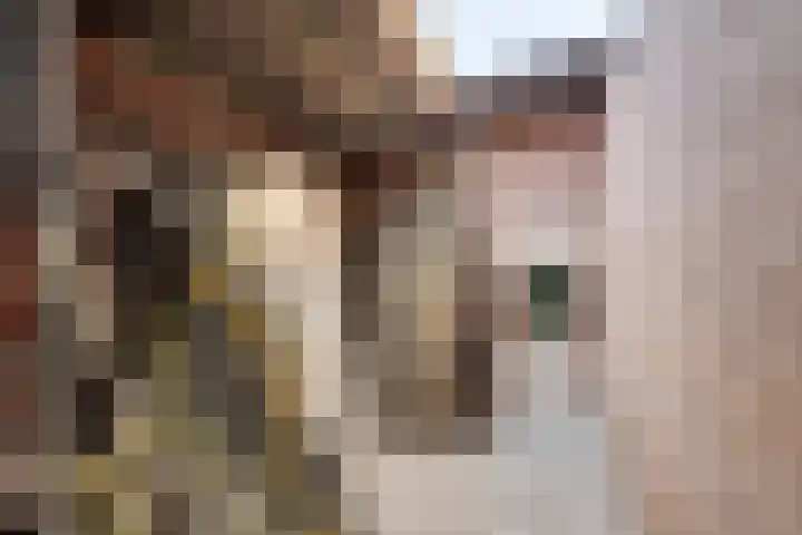 Rijksweg 9 Nieuw-Vossemeer thumbnail 49