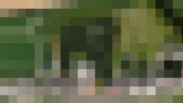 Rijksweg 9 Nieuw-Vossemeer thumbnail 61