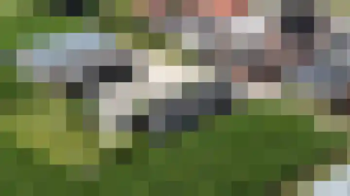 Rijksweg 9 Nieuw-Vossemeer thumbnail 66
