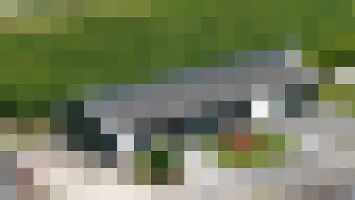 Rijksweg 9 Nieuw-Vossemeer thumbnail 67