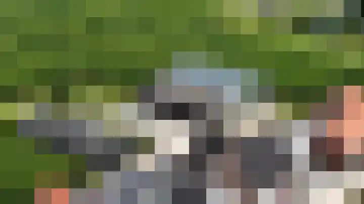 Rijksweg 9 Nieuw-Vossemeer thumbnail 68