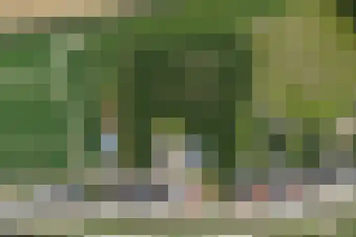 Rijksweg 9 Nieuw-Vossemeer thumbnail 72