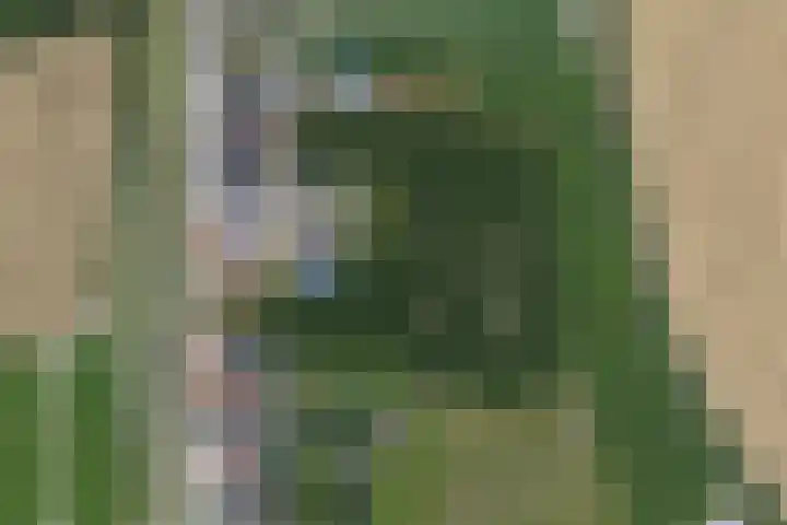 Rijksweg 9 Nieuw-Vossemeer thumbnail 73