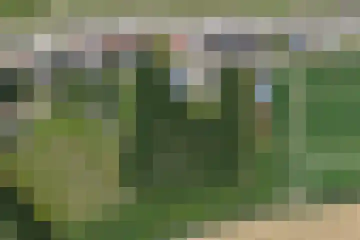 Rijksweg 9 Nieuw-Vossemeer thumbnail 74