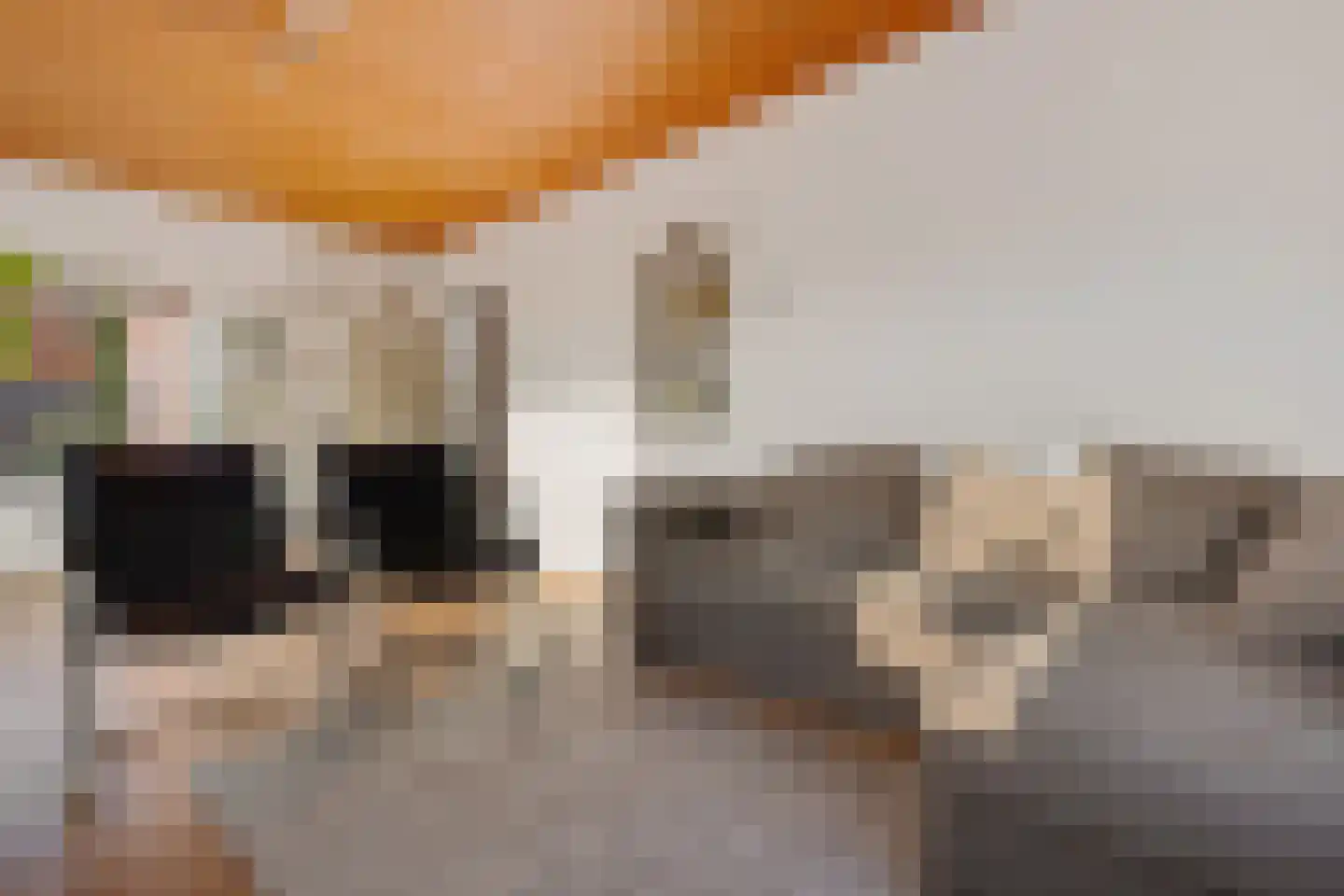 Rijksweg 91 a Groningen thumbnail 17
