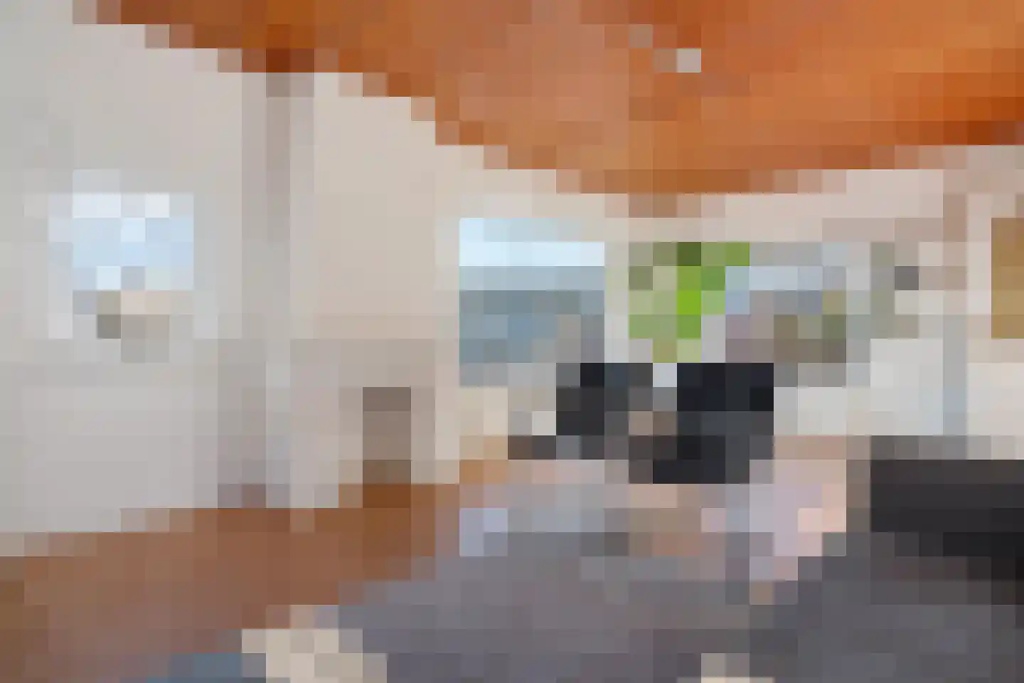 Rijksweg 91 a Groningen thumbnail 18