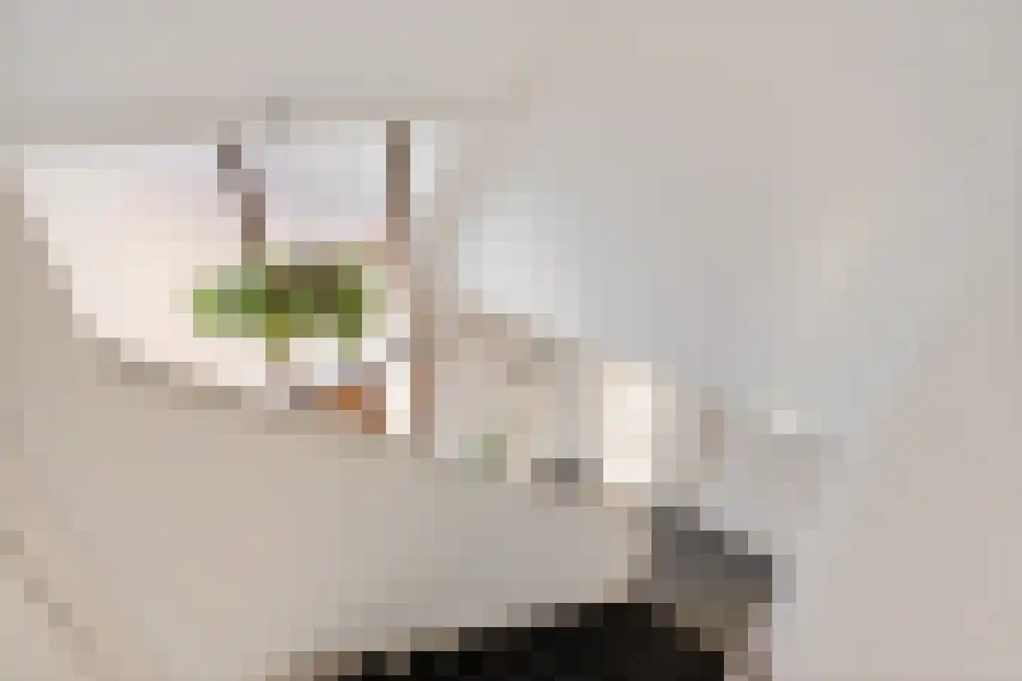 Rijksweg 91 a Groningen thumbnail 29