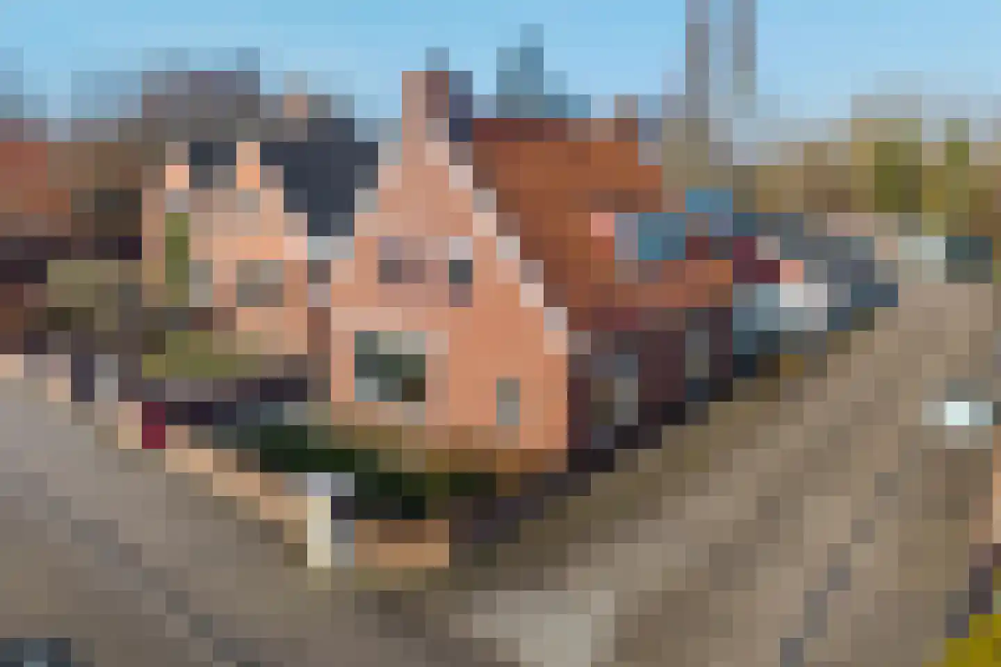 Rijksweg 91 a Groningen thumbnail 55