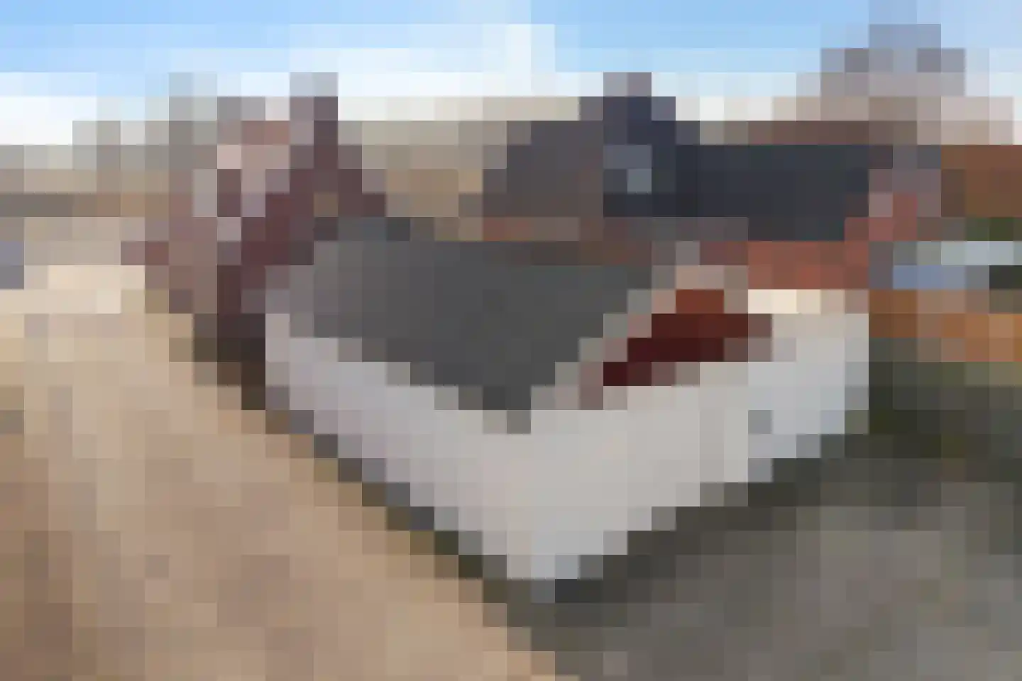 Rijksweg 91 a Groningen thumbnail 56