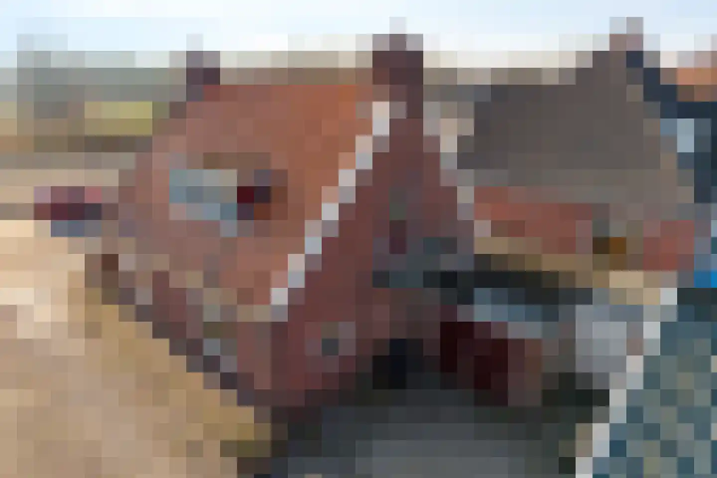 Rijksweg 91 a Groningen thumbnail 57