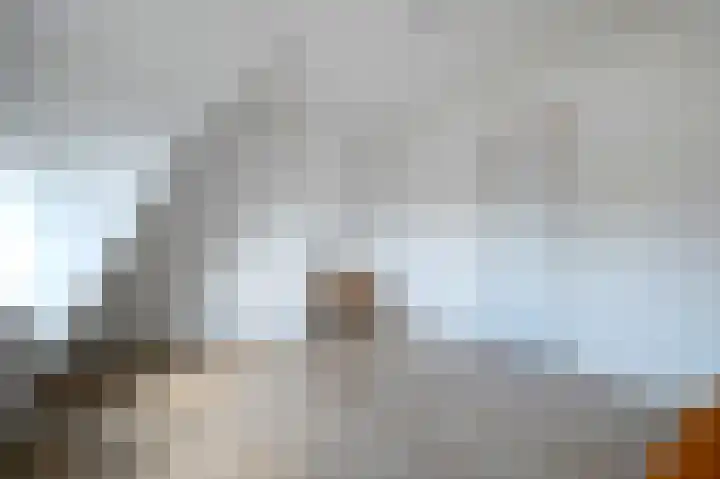 Rijksweg 91 Groningen thumbnail 22