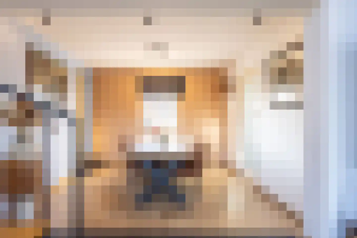 Rijksweg 91 Margraten thumbnail 16
