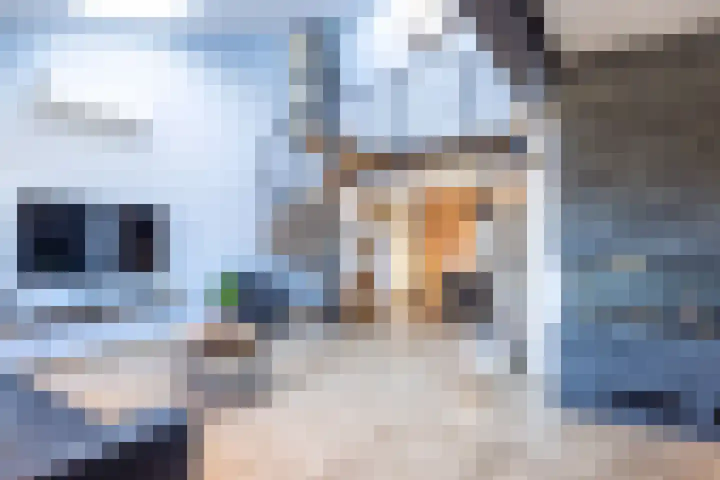Rijksweg 91 Margraten thumbnail 21
