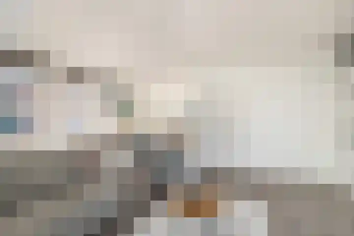 Rijksweg 93 Limmen thumbnail 10