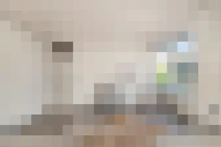 Rijksweg 93 Limmen thumbnail 12