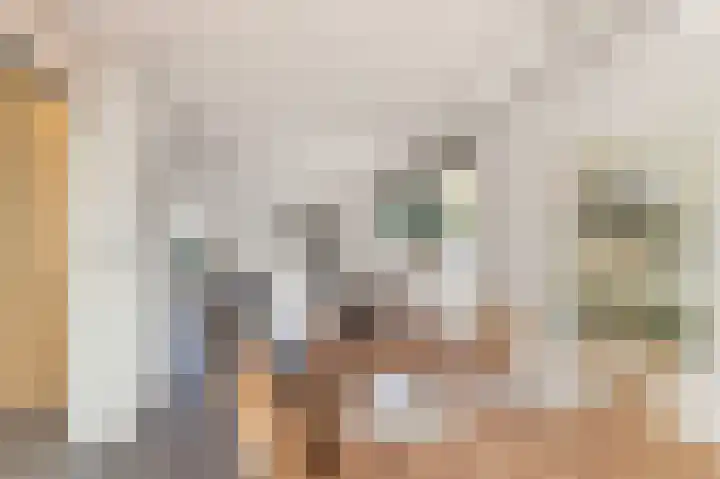 Rijksweg 93 Limmen thumbnail 17