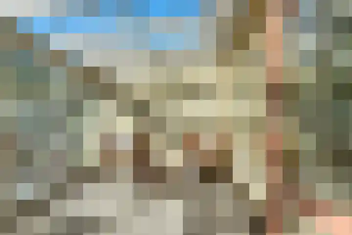 Rijksweg 93 Limmen thumbnail 28