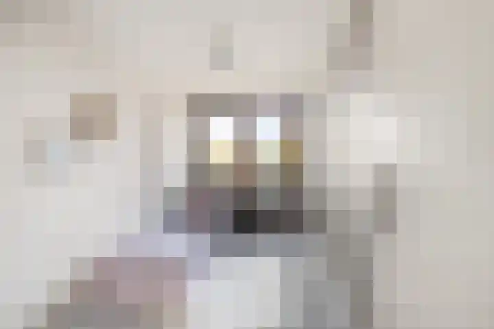 Rijksweg 93 Limmen thumbnail 39
