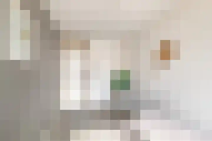 Rijksweg 93 Limmen thumbnail 40