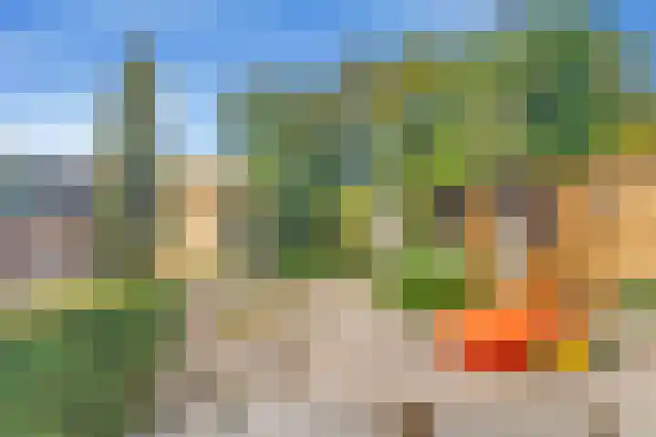 Rijksweg 93 Limmen thumbnail 47