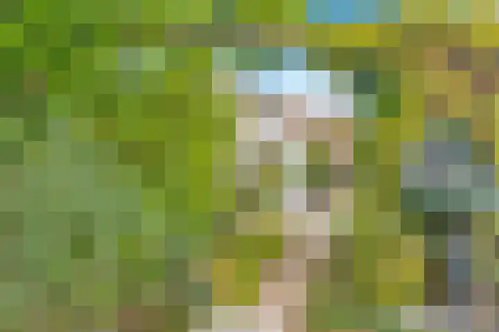 Rijksweg 93 Limmen thumbnail 51