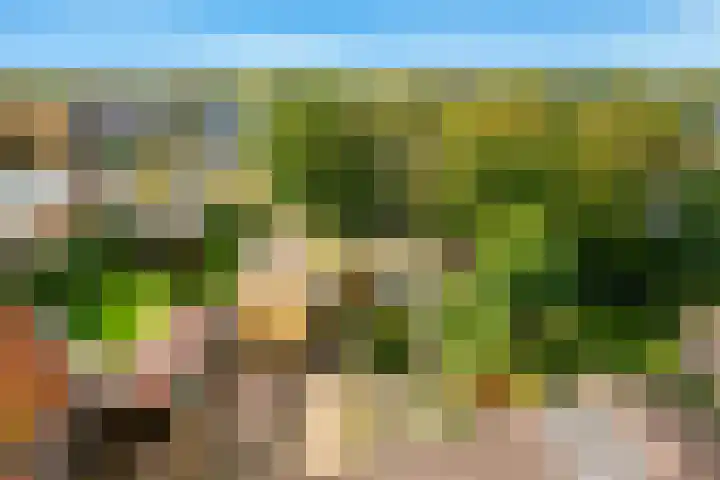 Rijksweg 93 Limmen thumbnail 56
