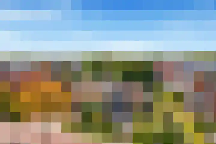 Rijksweg 93 Limmen thumbnail 61