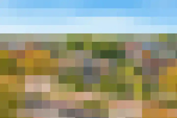 Rijksweg 93 Limmen thumbnail 62