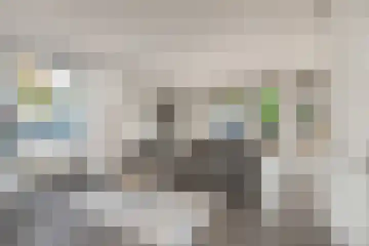 Rijksweg 93 Limmen thumbnail 7