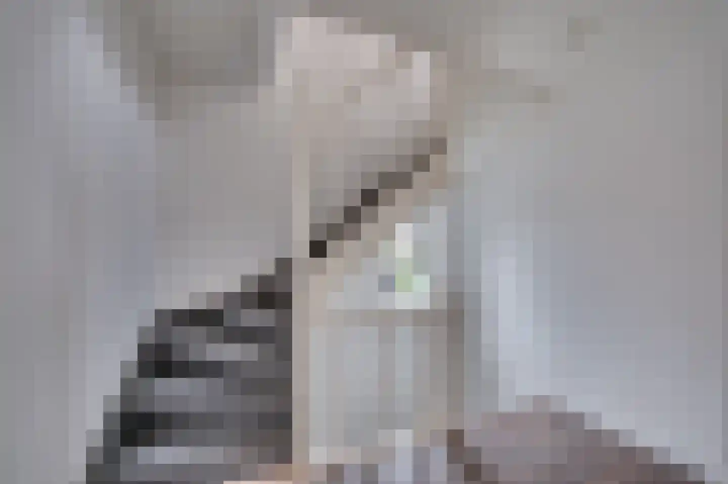 Rijksweg 94 Velden thumbnail 26