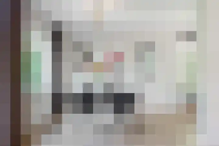 Rijksweg 95 Limmen thumbnail 15