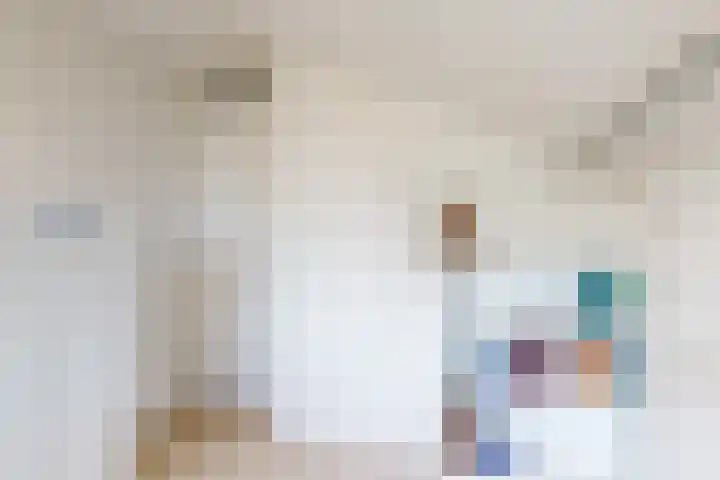 Rijksweg 95 Limmen thumbnail 25